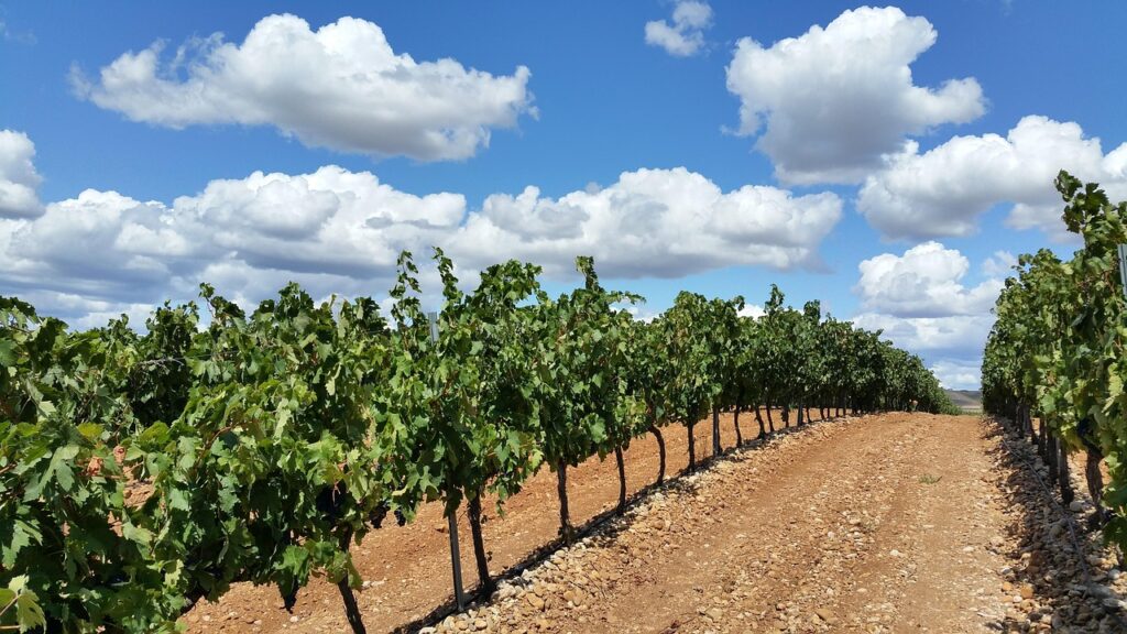 Eventos de empresa en La Rioja: espacios, actividades y música
